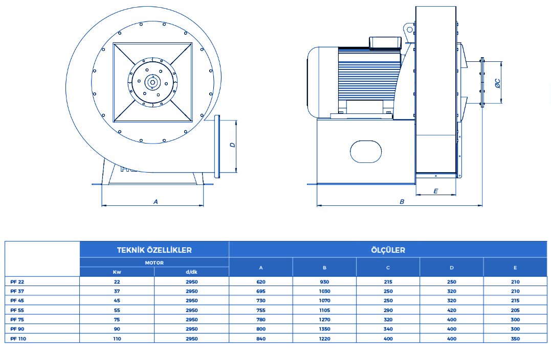 project-2 pino fan tek